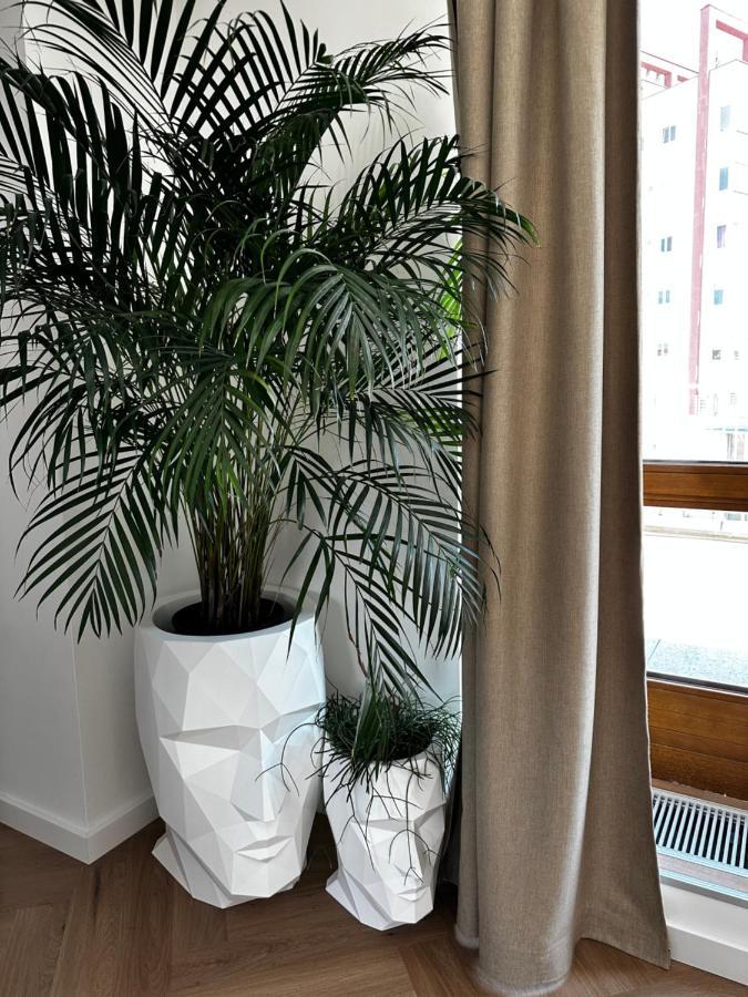 Luxury Penthouse At The Historical Centre With Free Parking Lägenhet Bratislava Exteriör bild