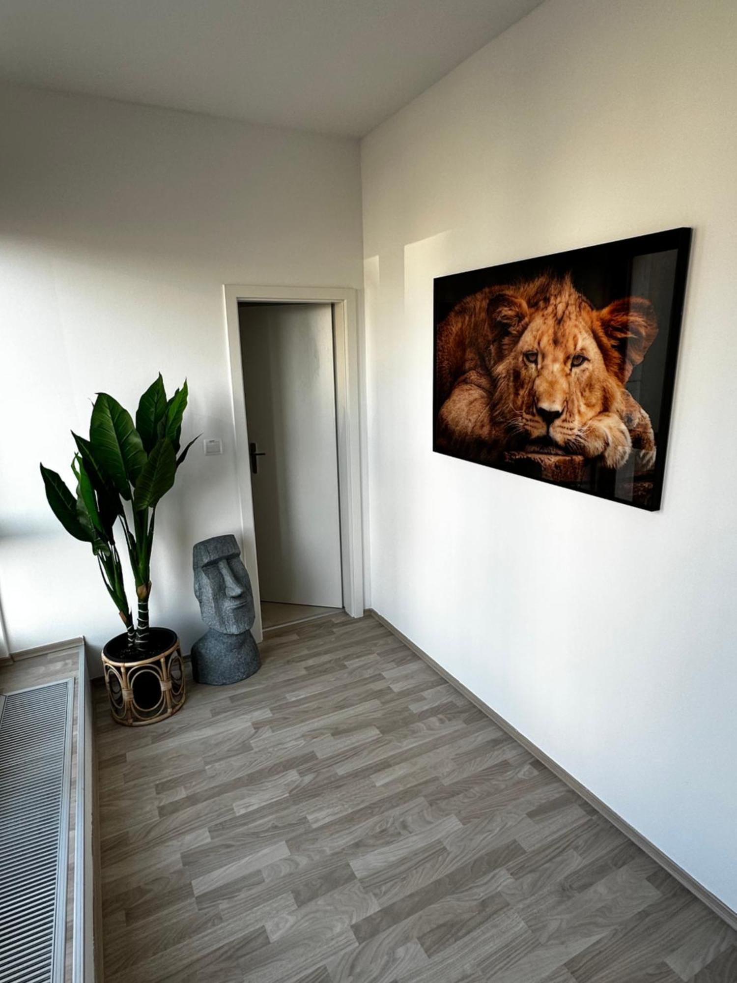 Luxury Penthouse At The Historical Centre With Free Parking Lägenhet Bratislava Exteriör bild